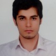 رضا شیخی