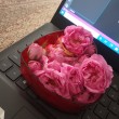 شهلا غریبی